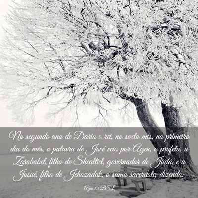 Picture 03 - Ageu 1:1 BSL - No segundo ano de Dario o rei, no sexto mês, no - Bible Verse Picture