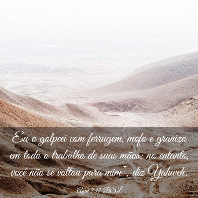 Picture 03 - Ageu 2:17 BSL - Eu o golpeei com ferrugem, mofo e granizo em todo - Bible Verse Picture