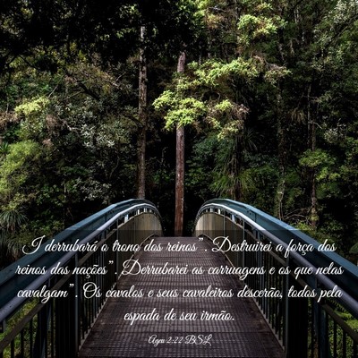 Picture 03 - Ageu 2:22 BSL - I derrubará o trono dos reinos”. Destruirei a - Bible Verse Picture
