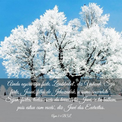 Picture 03 - Ageu 2:4 BSL - Ainda agora seja forte, Zerubbabel', diz Yahweh. - Bible Verse Picture