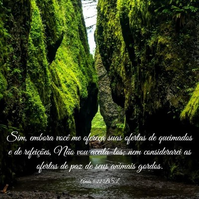 Picture 03 - Amós 5:22 BSL - Sim, embora você me ofereça suas ofertas de - Bible Verse Picture