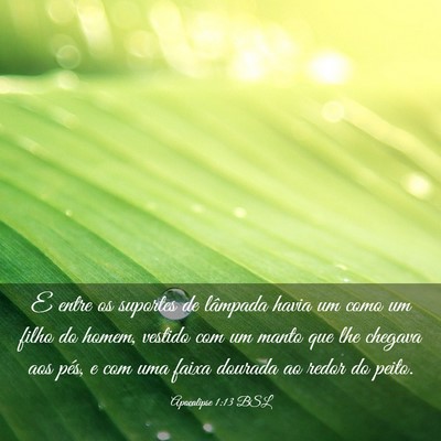 Picture 03 - Apocalipse 1:13 BSL - E entre os suportes de lâmpada havia um como um - Bible Verse Picture