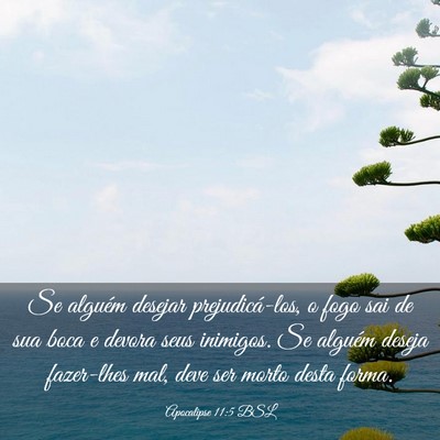 Picture 03 - Apocalipse 11:5 BSL - Se alguém desejar prejudicá-los, o fogo sai de - Bible Verse Picture