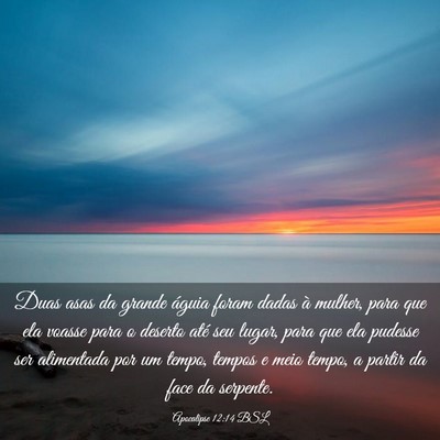 Picture 03 - Apocalipse 12:14 BSL - Duas asas da grande águia foram dadas à mulher, - Bible Verse Picture