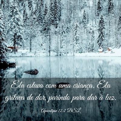 Picture 03 - Apocalipse 12:2 BSL - Ela estava com uma criança. Ela gritava de dor, - Bible Verse Picture