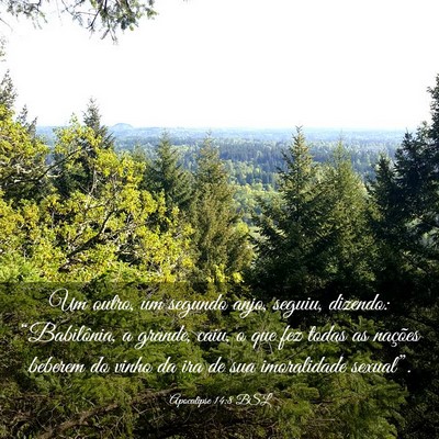 Picture 03 - Apocalipse 14:8 BSL - Um outro, um segundo anjo, seguiu, dizendo: - Bible Verse Picture