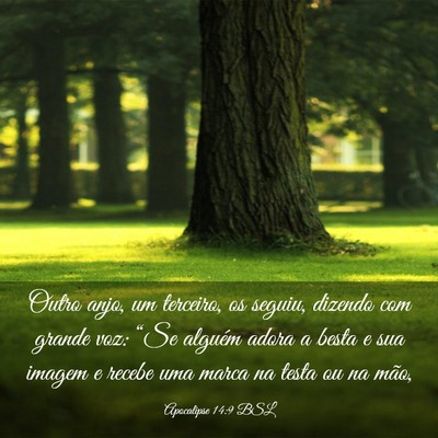 Picture 03 - Apocalipse 14:9 BSL - Outro anjo, um terceiro, os seguiu, dizendo com - Bible Verse Picture