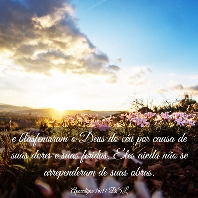 Picture 03 - Apocalipse 16:11 BSL - e blasfemaram o Deus do céu por causa de suas - Bible Verse Picture