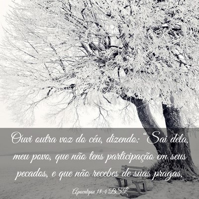 Picture 03 - Apocalipse 18:4 BSL - Ouvi outra voz do céu, dizendo: “Sai dela, meu - Bible Verse Picture