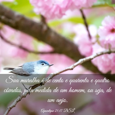 Picture 03 - Apocalipse 21:17 BSL - Sua muralha é de cento e quarenta e quatro - Bible Verse Picture