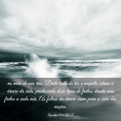 Picture 03 - Apocalipse 22:2 BSL - no meio de sua rua. Deste lado do rio e naquela - Bible Verse Picture