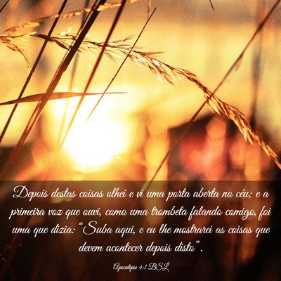 Picture 03 - Apocalipse 4:1 BSL - Depois destas coisas olhei e vi uma porta aberta - Bible Verse Picture