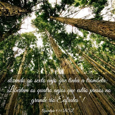 Picture 03 - Apocalipse 9:14 BSL - dizendo ao sexto anjo que tinha a trombeta: - Bible Verse Picture