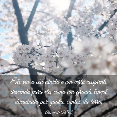 Picture 03 - Atos 10:11 BSL - Ele viu o céu aberto e um certo recipiente - Bible Verse Picture