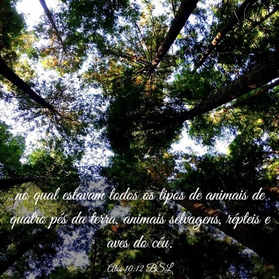 Picture 03 - Atos 10:12 BSL - no qual estavam todos os tipos de animais de - Bible Verse Picture