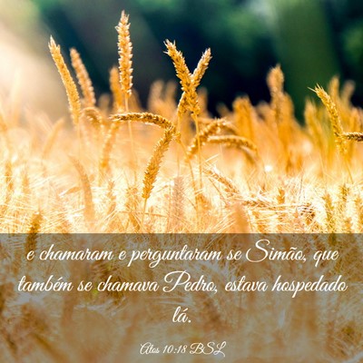 Picture 03 - Atos 10:18 BSL - e chamaram e perguntaram se Simão, que também - Bible Verse Picture