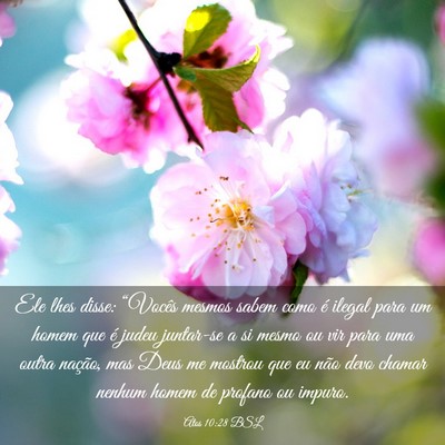 Picture 03 - Atos 10:28 BSL - Ele lhes disse: “Vocês mesmos sabem como é - Bible Verse Picture