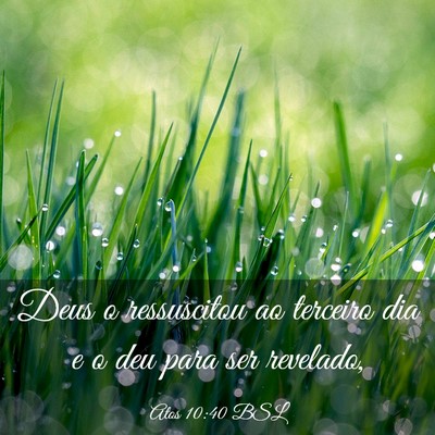 Picture 03 - Atos 10:40 BSL - Deus o ressuscitou ao terceiro dia e o deu para - Bible Verse Picture