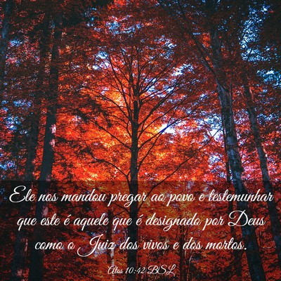 Picture 03 - Atos 10:42 BSL - Ele nos mandou pregar ao povo e testemunhar que - Bible Verse Picture
