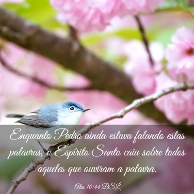 Picture 03 - Atos 10:44 BSL - Enquanto Pedro ainda estava falando estas - Bible Verse Picture
