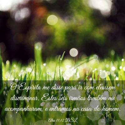 Picture 03 - Atos 11:12 BSL - O Espírito me disse para ir com eles sem - Bible Verse Picture