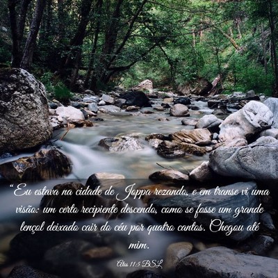 Picture 03 - Atos 11:5 BSL - “Eu estava na cidade de Joppa rezando, e em - Bible Verse Picture