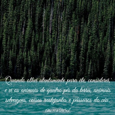 Picture 03 - Atos 11:6 BSL - Quando olhei atentamente para ele, considerei, e - Bible Verse Picture