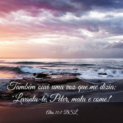 Picture 03 - Atos 11:7 BSL - Também ouvi uma voz que me dizia: 'Levanta-te, - Bible Verse Picture