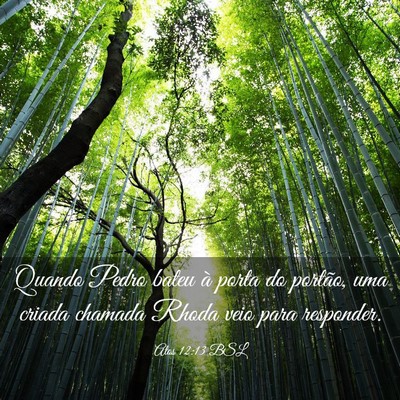 Picture 03 - Atos 12:13 BSL - Quando Pedro bateu à porta do portão, uma - Bible Verse Picture