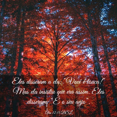 Picture 03 - Atos 12:15 BSL - Eles disseram a ela: “Você é louca!” Mas - Bible Verse Picture