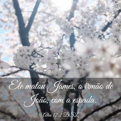 Picture 03 - Atos 12:2 BSL - Ele matou James, o irmão de João, com a - Bible Verse Picture
