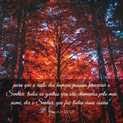 Picture 03 - Atos 15:17 BSL - para que o resto dos homens possam procurar o - Bible Verse Picture
