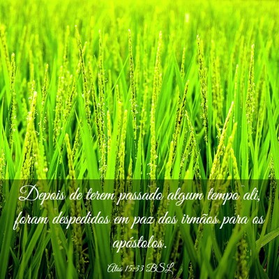 Picture 03 - Atos 15:33 BSL - Depois de terem passado algum tempo ali, foram - Bible Verse Picture