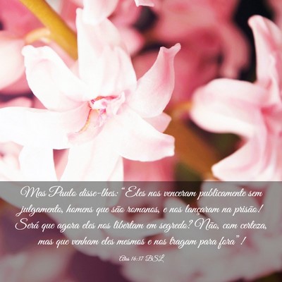 Picture 03 - Atos 16:37 BSL - Mas Paulo disse-lhes: “Eles nos venceram - Bible Verse Picture