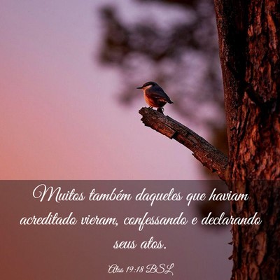 Picture 03 - Atos 19:18 BSL - Muitos também daqueles que haviam acreditado - Bible Verse Picture