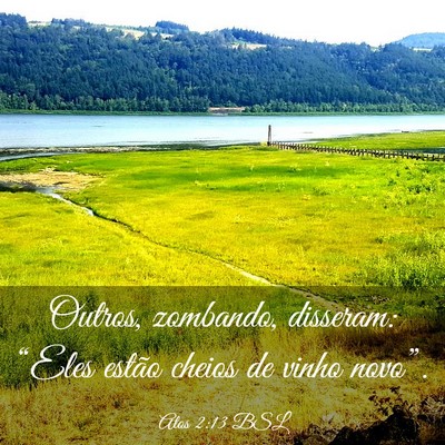 Picture 03 - Atos 2:13 BSL - Outros, zombando, disseram: “Eles estão cheios - Bible Verse Picture