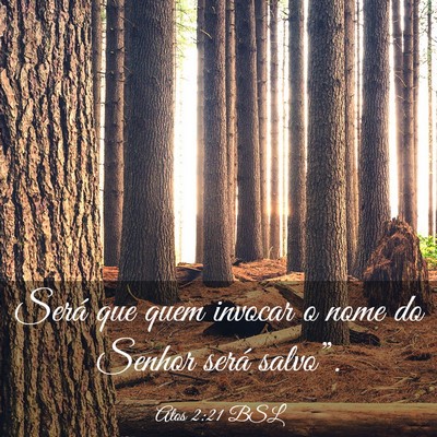 Picture 03 - Atos 2:21 BSL - Será que quem invocar o nome do Senhor será - Bible Verse Picture