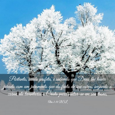 Picture 03 - Atos 2:30 BSL - Portanto, sendo profeta, e sabendo que Deus lhe - Bible Verse Picture