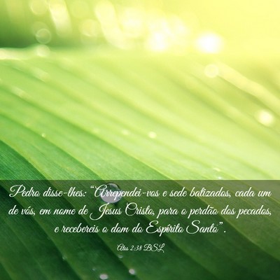 Picture 03 - Atos 2:38 BSL - Pedro disse-lhes: “Arrependei-vos e sede - Bible Verse Picture