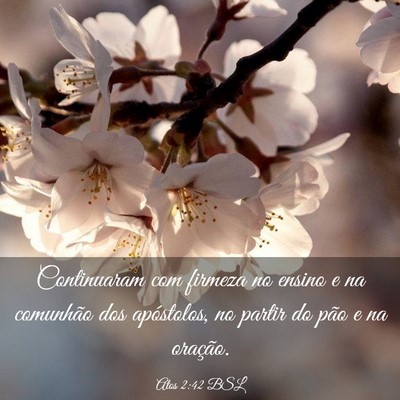 Picture 03 - Atos 2:42 BSL - Continuaram com firmeza no ensino e na comunhão - Bible Verse Picture
