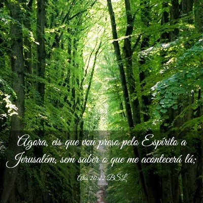 Picture 03 - Atos 20:22 BSL - Agora, eis que vou preso pelo Espírito a - Bible Verse Picture