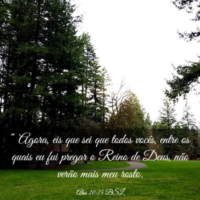 Picture 03 - Atos 20:25 BSL - “ Agora, eis que sei que todos vocês, entre os - Bible Verse Picture