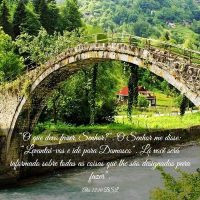 Picture 03 - Atos 22:10 BSL - “O que devo fazer, Senhor?”. O Senhor me - Bible Verse Picture