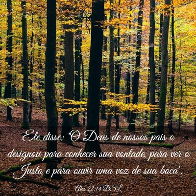 Picture 03 - Atos 22:14 BSL - Ele disse: 'O Deus de nossos pais o designou para - Bible Verse Picture