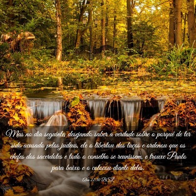 Picture 03 - Atos 22:30 BSL - Mas no dia seguinte, desejando saber a verdade - Bible Verse Picture