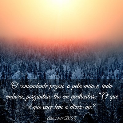 Picture 03 - Atos 23:19 BSL - O comandante pegou-o pela mão e, indo embora, - Bible Verse Picture