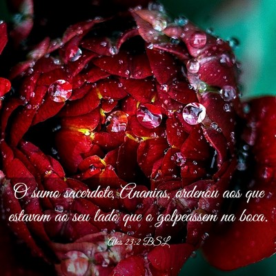 Picture 03 - Atos 23:2 BSL - O sumo sacerdote, Ananias, ordenou aos que - Bible Verse Picture