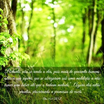 Picture 03 - Atos 23:21 BSL - Portanto, não se renda a eles, pois mais de - Bible Verse Picture