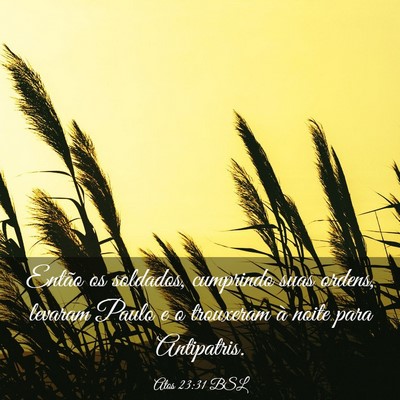 Picture 03 - Atos 23:31 BSL - Então os soldados, cumprindo suas ordens, - Bible Verse Picture