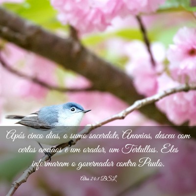 Picture 03 - Atos 24:1 BSL - Após cinco dias, o sumo sacerdote, Ananias, - Bible Verse Picture